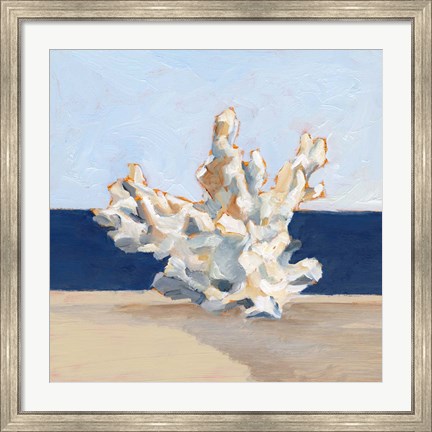 Framed Coral By the Shore IV Print