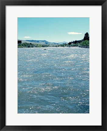 Framed Natures Beauty Print