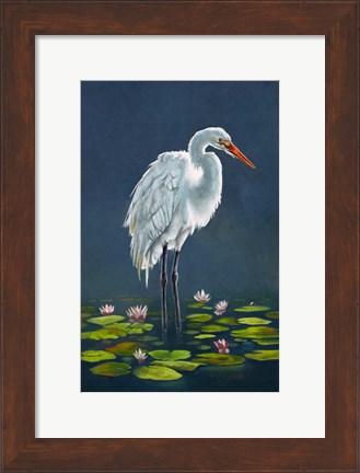 Framed Egret Amongst The Lily Pads Print
