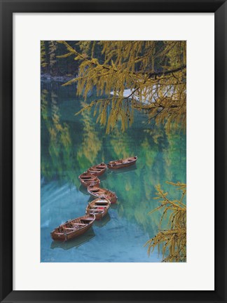 Framed S Curve Print