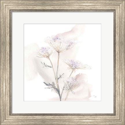 Framed Queen Annes Lace VI Print