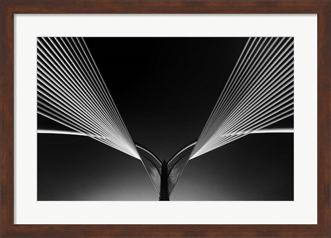 Framed Wings Print
