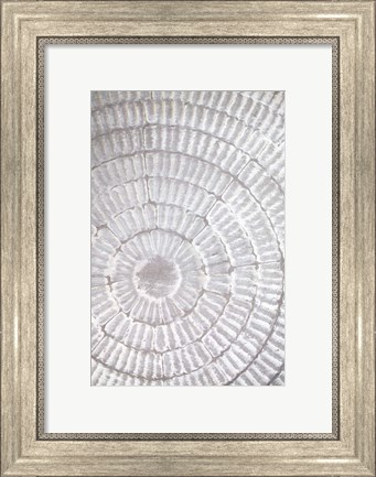 Framed Patternplate Grey 1 Print
