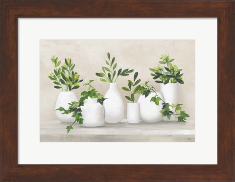 Framed Plant Life IV Print