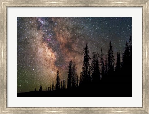 Framed Wilderness Print