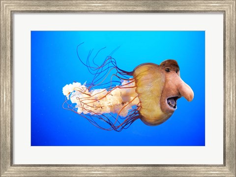 Framed Monkfish Print
