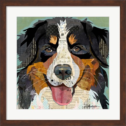 Framed Bernese Print