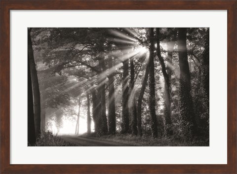 Framed Amazing Rays Print