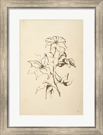 Framed Vintage Line Clematis Print