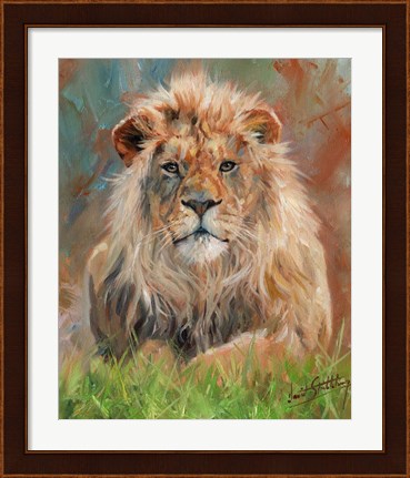 Framed Lion Front 1012 Print