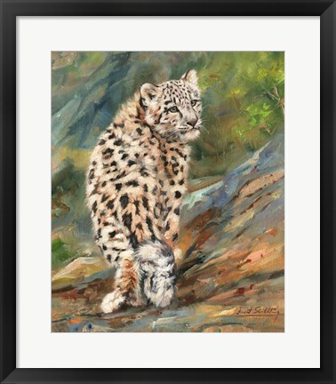 Framed Snow Leopard Cub Print