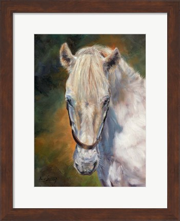 Framed White Horse Print