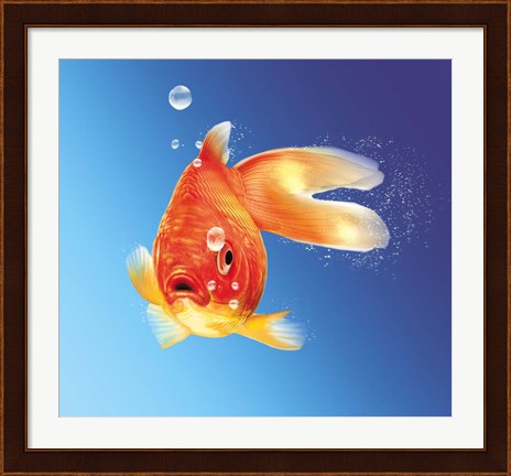 Framed Goldfish With Water Bubbles Print
