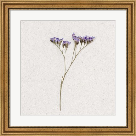 Framed Dainty Purple 1 Print