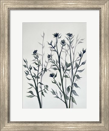 Framed Botanical Inspiration 2 Print