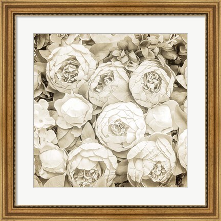 Framed Dried Roses Print