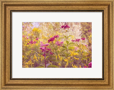 Framed Plum and Mustard Wildflowers Print