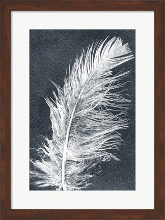 Framed Feather 1 Dark Print