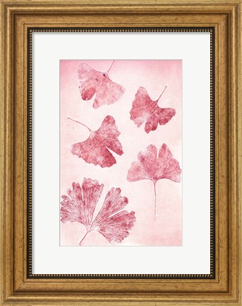 Framed Ginkgo 4 Sorbet Print