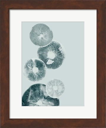 Framed Mushroom Light Teal Print