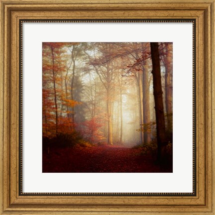 Framed Fall Hike Print