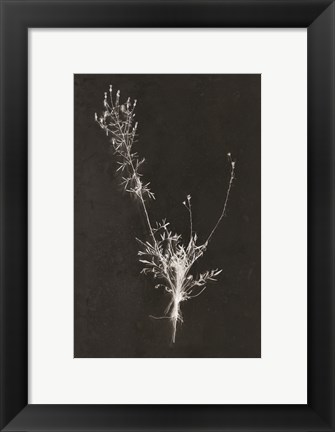 Framed You Can&#39;t X-ray Beauty Print