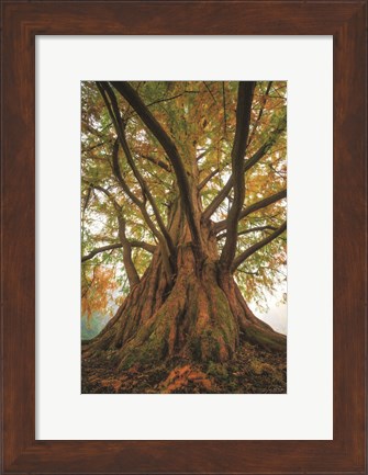 Framed Tentacle Tree Print