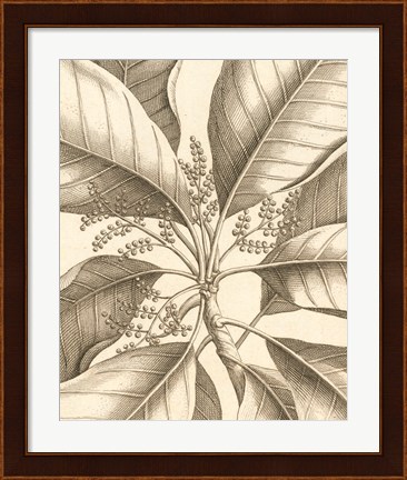 Framed Tropical Connection II Print