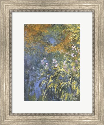 Framed Yellow Iris Print