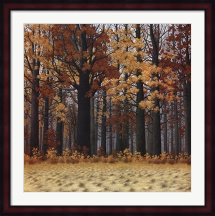 Framed Autumn Wood Print