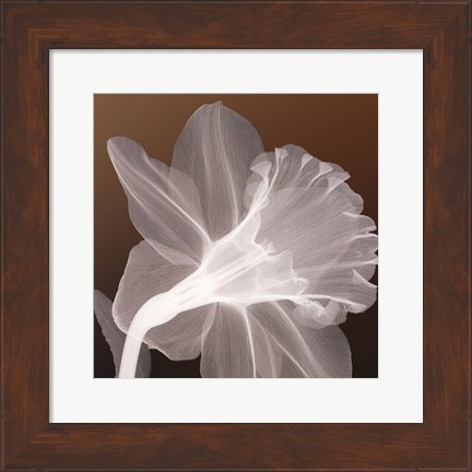 Framed Ruffled Elegance Print