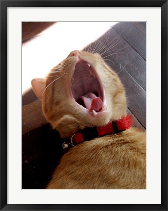 Framed Yawn! Print