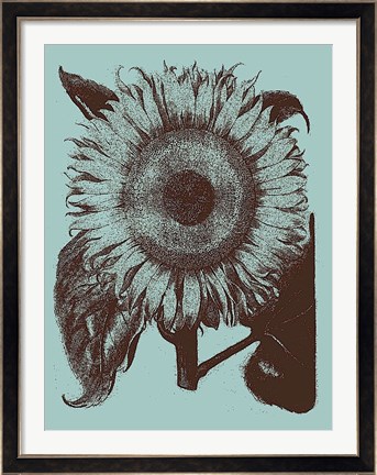 Framed Sunflower 18 Print