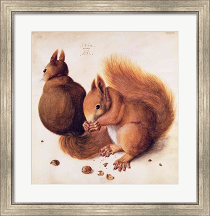 Framed Squirrels, 1512 Print