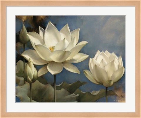 Framed Lotus I Print