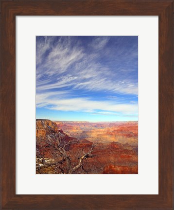 Framed Grand Canyon Arizona Print