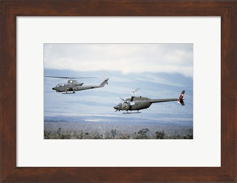 Framed left side view of an AH-1 Cobra helicopter, front, and an OH-58 Kiowa helicopter Print