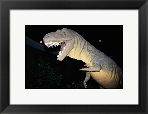 Framed Albertosaurus, Royal Tyrrell Museum, Drumheller, Alberta, Canada Print