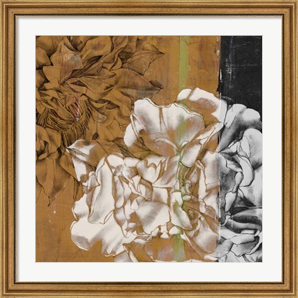 Framed Bloom Illusion II Print