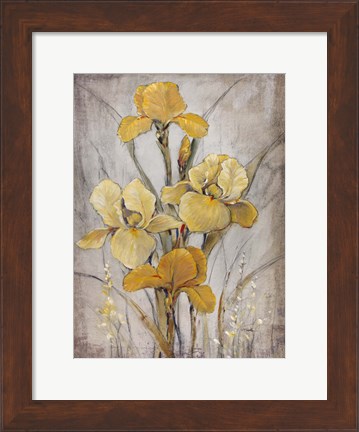 Framed Golden Irises I Print