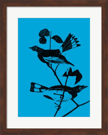 Framed Starlings Print