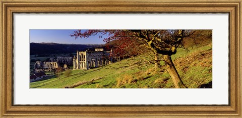 Framed Church On A Landscape, Rievaulx Abbey, North Yorkshire, England, United Kingdom Print