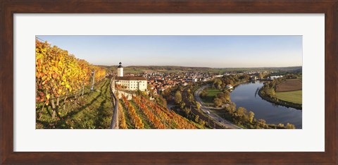 Framed Vineyards around a castle, Horneck Castle, Gundelsheim, Baden-Wurttemberg, Germany Print