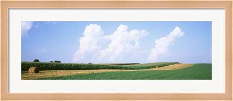 Framed Hay bales in a field, Jo Daviess county, Illinois, USA Print
