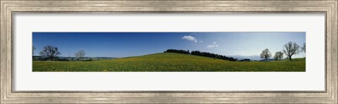 Framed Panoramic view of a landscape, St. Peter, Lindenberg, Black Forest, Germany Print