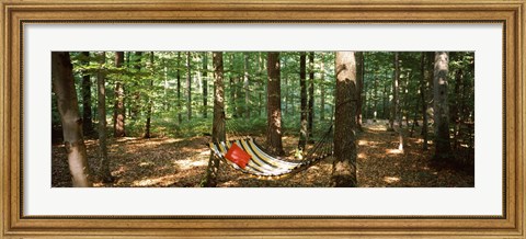 Framed Hammock in a forest, Baden-Wurttemberg, Germany Print