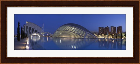Framed Opera house at the waterfront, Ciutat De Les Arts I Les Ciencies, Valencia, Spain Print