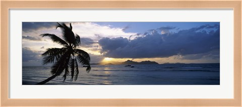 Framed Silhouette of coconut palm tree at sunset, from Anse Severe Beach, La Digue Island, Seychelles Print