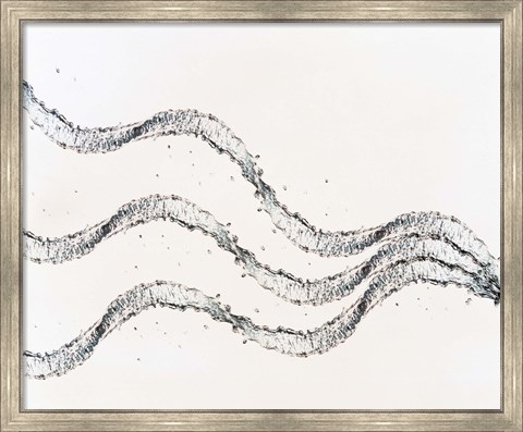 Framed Three ribbons of water drops with white background Print