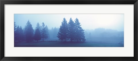 Framed Misty forest Quebec Canada Print